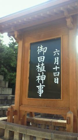 明日御田植神事があるとのことでした!(^^)!