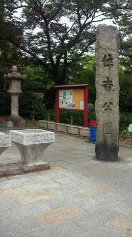 住吉公園の前を通過して