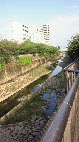 住吉川