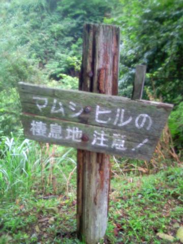 途中のエスケープルート入口にはこんな看板が・・・・・
できたらとりたくないコースである。
