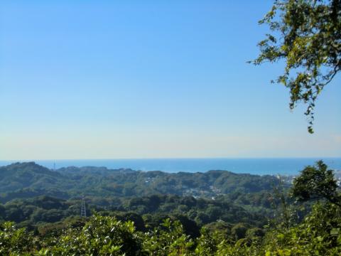 天園より相模湾を望む。お天気サイコー。