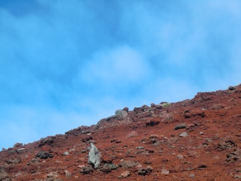 こんな青空が顔をのぞかせるときもありました