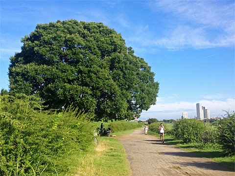 もう少し早い時間に走り出さないと辛い。