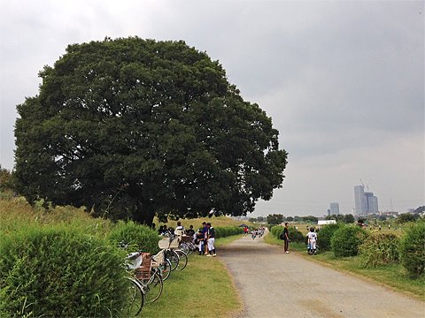 水蒸気噴火の予知は不可能なのか