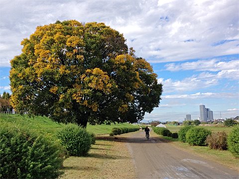 朝方の雨が嘘のように、昼は晴れて暖かくなってきました。