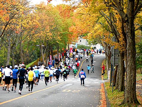 ラスト2キロ。筑波大学内の最後の坂。