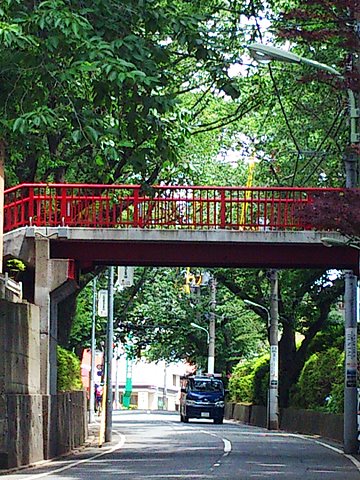 桜坂は葉桜坂に。