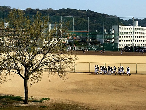 高校球児。