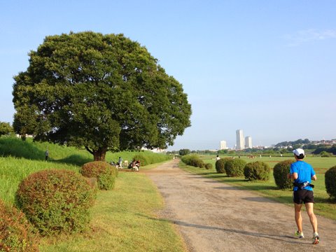 今日はiPhone 4Sで撮影。天気の差もあるが、先週のXPERIA arcで撮影した写真と比べて、画素数は劣るものの、発色や明るさの点で「綺麗」に見える。
