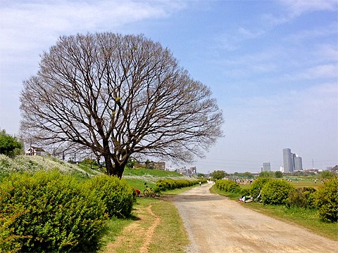 販売再開