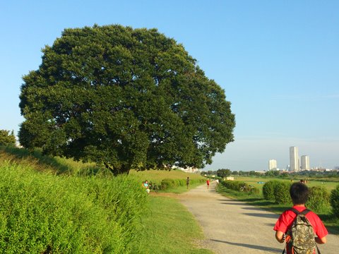 結構蒸し暑かったですが、空は秋色でした。