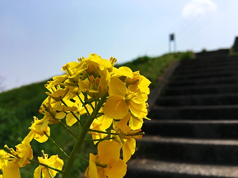 写真を撮りながら31km