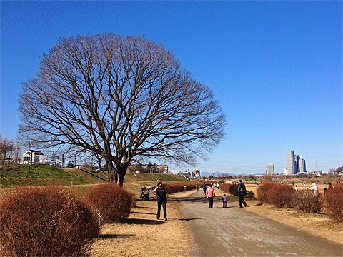 2時間10分走のつもりが、、、