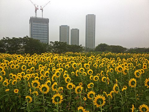 週一ジョグ