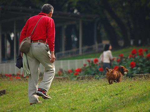 約30年ぶりに訪れた戸田公園はとてもきれいになっていました。