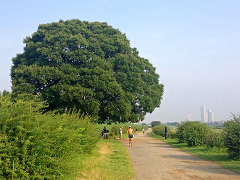 週一ラン
