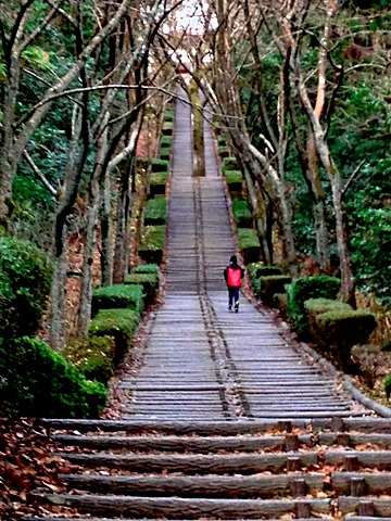 高尾山自然公園