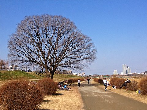 東京マラソンの日も晴れますように。