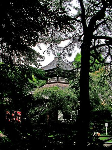 参道から見える六角堂(不動堂)。
写真を撮っている間に、たくさんの蚊に朝餉をご馳走してしまいました。