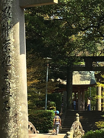 写真を撮りながら31km