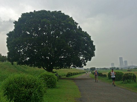 雨にもかかわらず、多摩川河川敷には、結構な数のランナーが走っていました。
