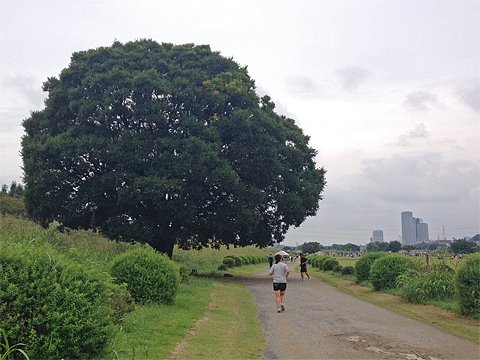 週一2時間走