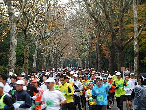 4km地点。ほとんど葉の落ちた銀杏並木道を川のように大勢のランナーが走り抜ける。