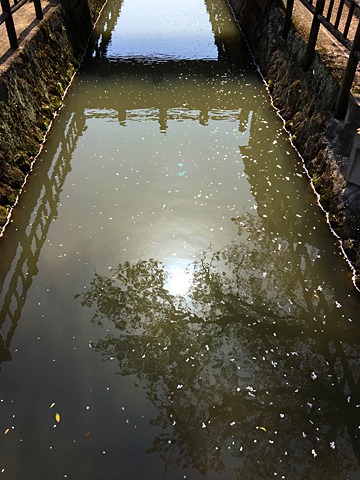 写真を撮りながら31km