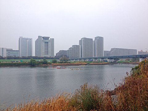 毎年恒例のボート大会。