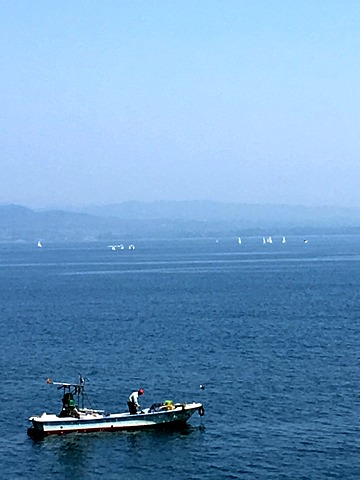 別大国道沿いに30km
