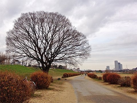 週一ラン
