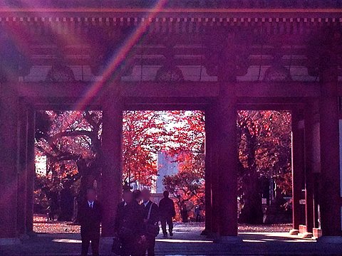 本門寺仁王門を通して見る紅葉。