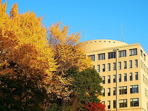 三田の慶応義塾大学。