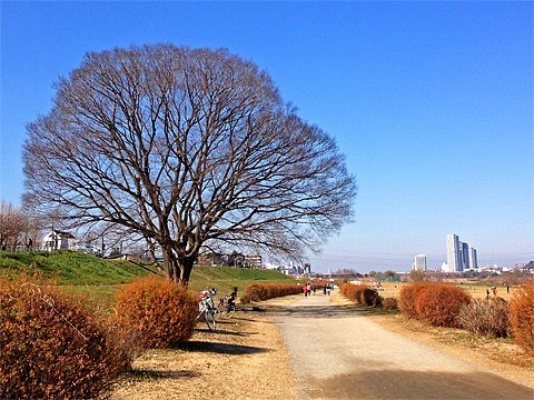 週一ラン