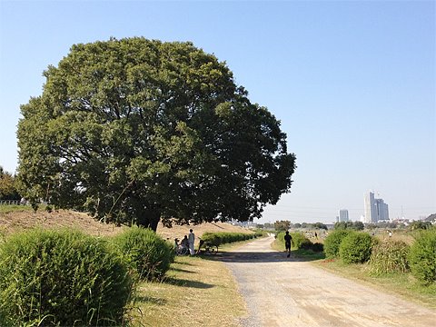 靴を変えました