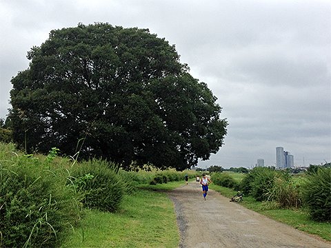 写真中央の男の方も、私同様、木に手を合わせていました。