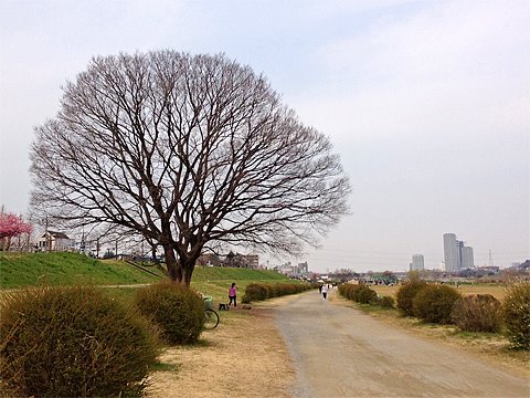相変わらず