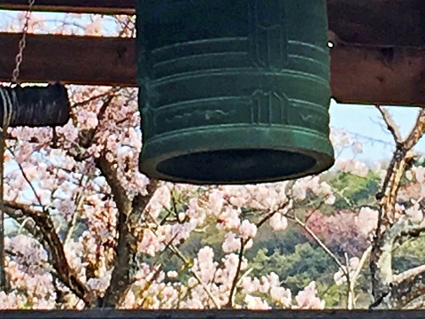 小さなお寺(専徳寺)の鐘楼。