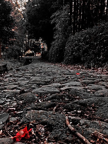 苔むした旧参道。