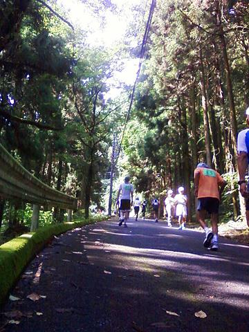 折り返しまではひたすら上ります。山道ではなく、一般道(舗装道)です。車や自転車も通ります。