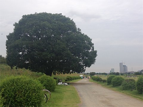 週一ジョグ