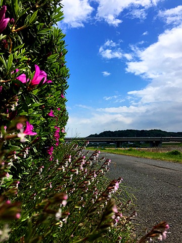途中、一瞬覗いた晴れ間。