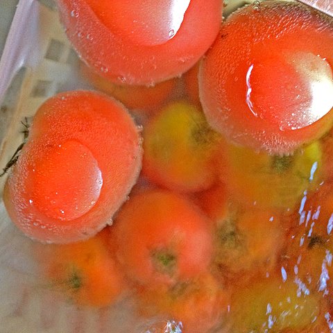 大清水の無料休憩所では、沢の冷たい水に浸った冷やしトマトが売られています。トマトに限らず片品村の野菜はとても美味しいです。中でも、舞茸などのきのこ類ととうもろこしは絶品です。とうもろこしは「とうもろこし街道」があるくらいで、「恵味」という品種のとうもろこしが売られています。8月よりも9月が旬とのことです。