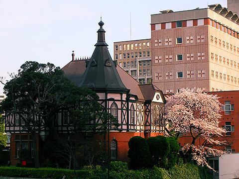 お花見ラン