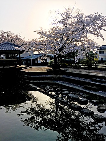 写真を撮りながら31km