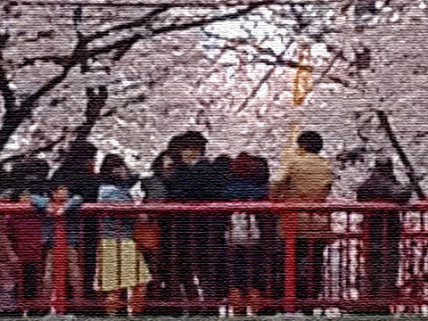 桜坂の花見客。子供が退屈そう。 ※iPhoneのズームで撮ったため画質が荒く、エフェクトでごまかしました。