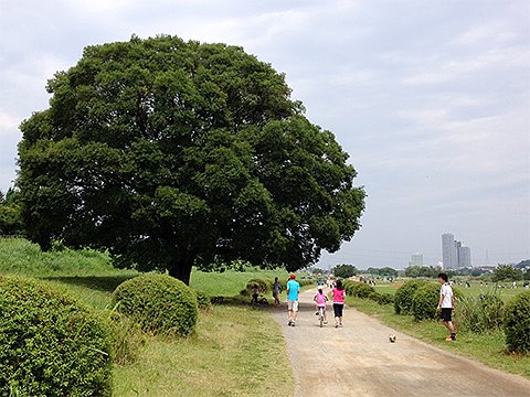 トボトボ走