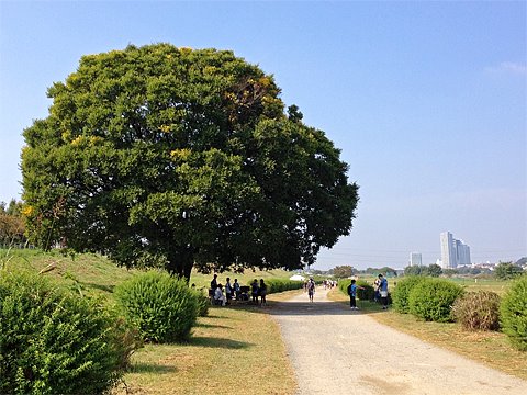 30km走で実力を知る