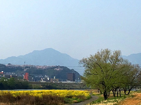 写真を撮りながら31km