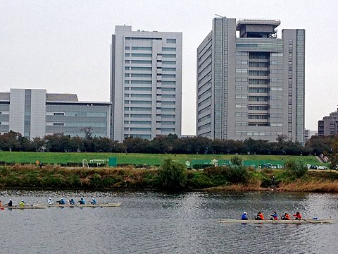 どこかの企業の運動会のボート競技かな?